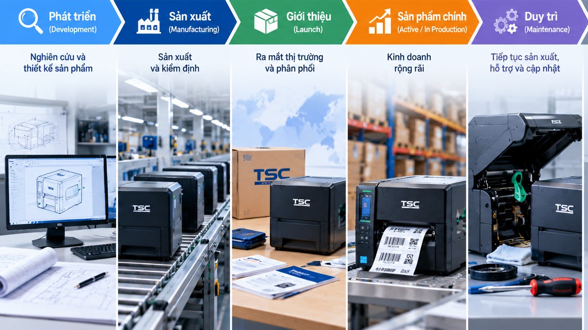 Các giai đoạn triển khai và đưa máy in TSC vào vận hành
